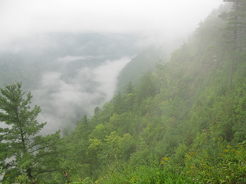 Grand Canyon of Pennsylvania