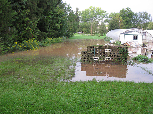 Back Yard Flooding