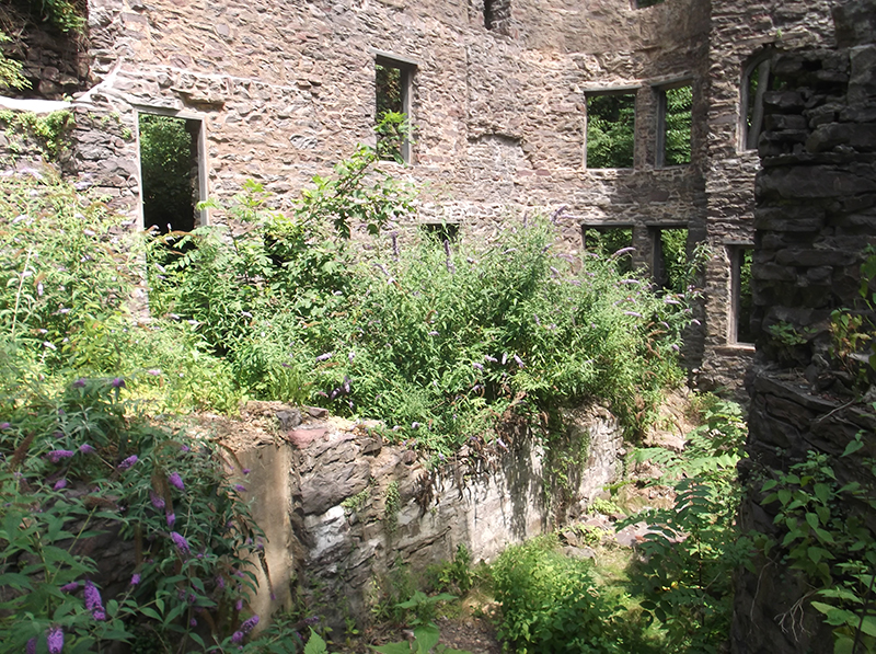 Stone House Ruins
