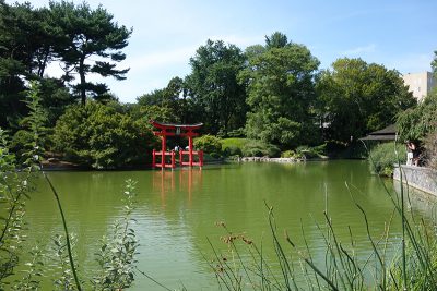 Brooklyn Botanic Garden Japanese Pond