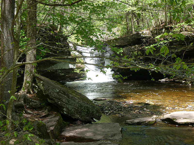 Murray Reynolds Falls