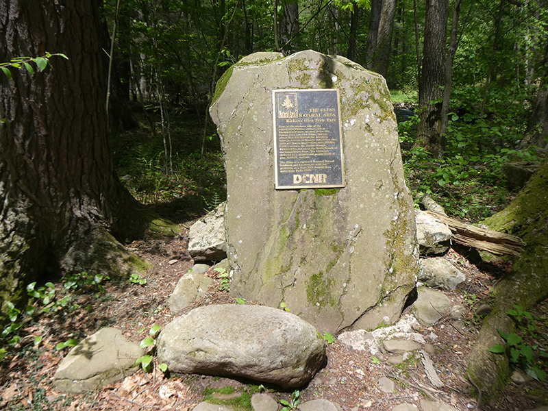 Ricketts Glen State Park